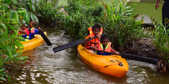 Wetland Restoration Project: A success